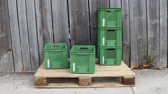grüne Kisten auf Holzpalette