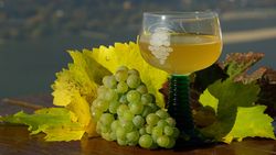 Glas Federweißer