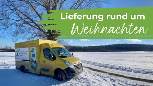 Baumannshofauto im Schnee