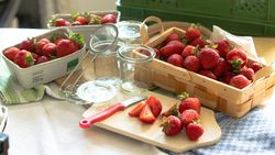 Erdbeeren