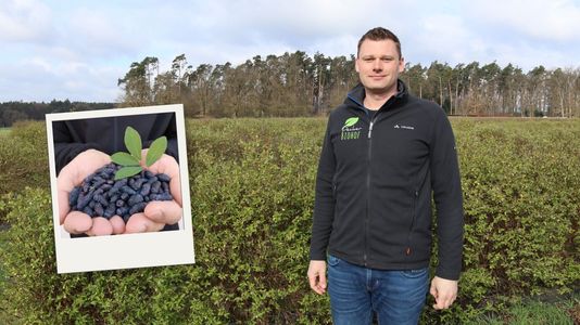 Michael Decker auf seinem Feld mit Haskap-Beeren