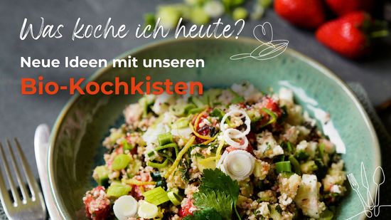 Rezeptbild Salat mit Schriftzug Neue Ideen mit unseren Bio-Kochkisten