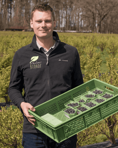 Michael Decker vom Biohof Decker mit Haskap-Beeren