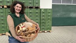 Steffi mit Holzspielzeug