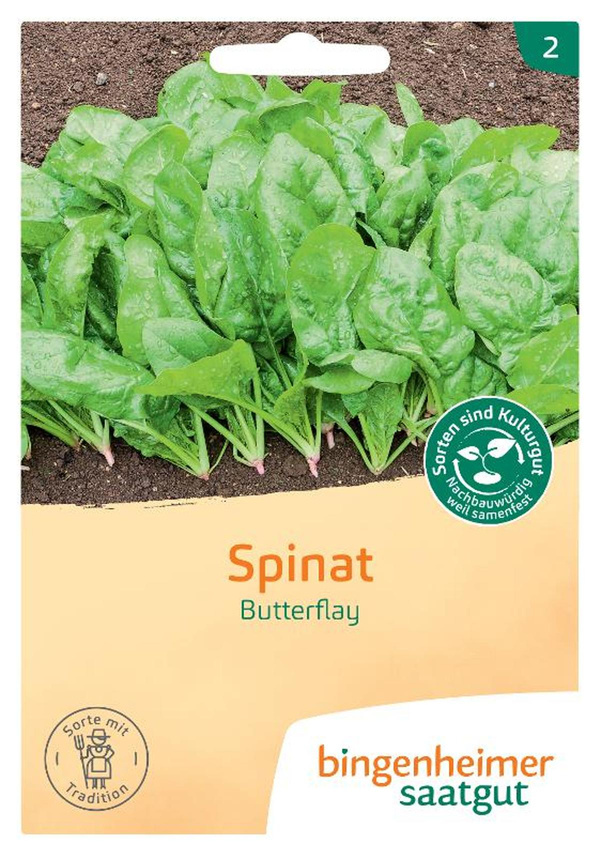 Produktfoto zu b-s-Saatgut Spinat Butterflay