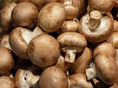 Champignons