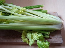 Staudensellerie Nahaufnahme