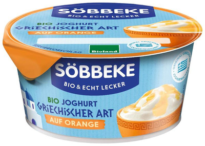 Produktfoto zu Joghurt griechische Art auf Orange