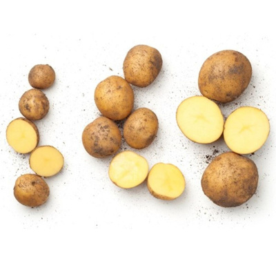 Produktfoto zu Frühkartoffeln, vfk. 3 kg