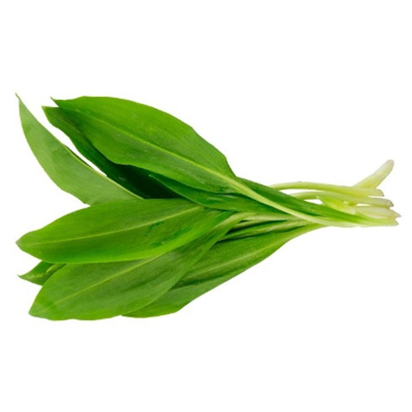 Produktfoto zu Kräuter Bärlauch Bund