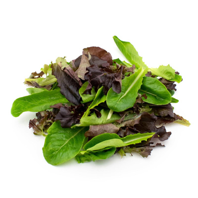 Produktfoto zu Salat Pflücksalat lose