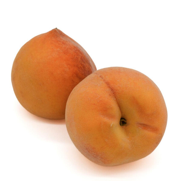 Produktfoto zu  Aprikosenpfirsich Percoca