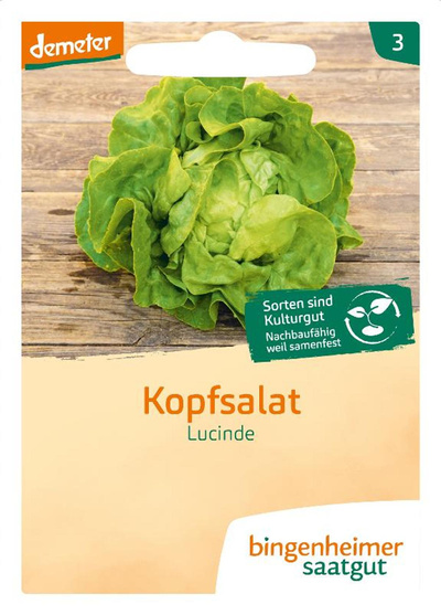 Produktfoto zu Saatgut Kopfsalat Lucinde