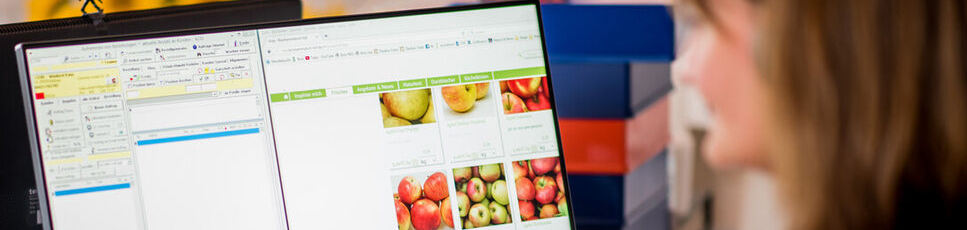 Onlineshop und Lieferservice am Monitor