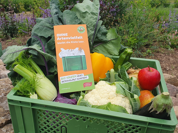 Gemüsekiste mit Artenvielfalt-Flyer