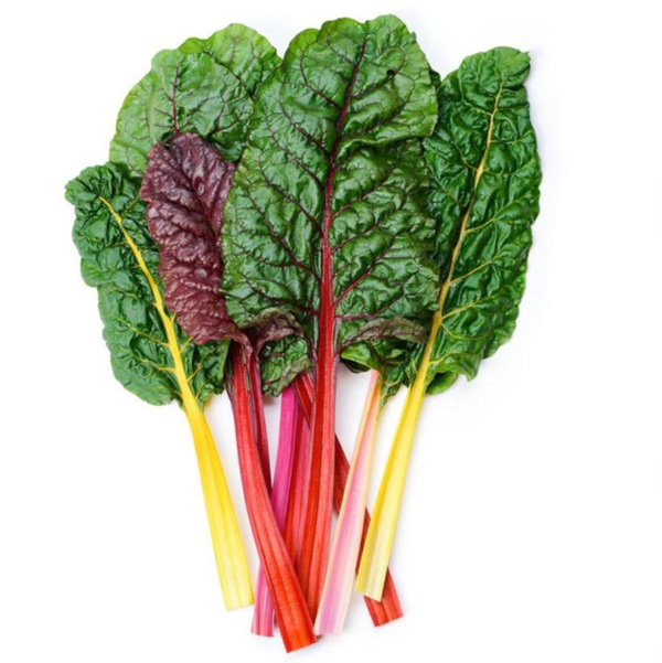 Produktfoto zu Mangold bunt