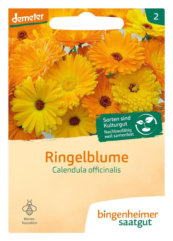 Produktfoto zu Saatgut Calendula Ringelblume