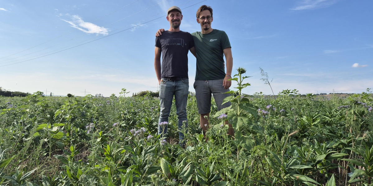 David und Johannes auf dem Acker
