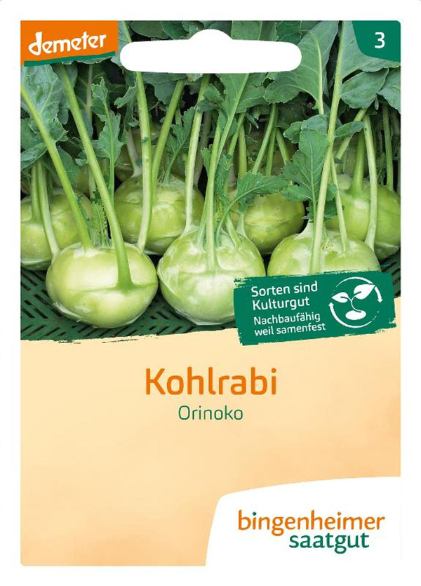 Produktfoto zu Saatgut Kohlrabi weiß Orinoko