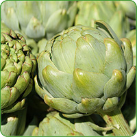 Artischocke
