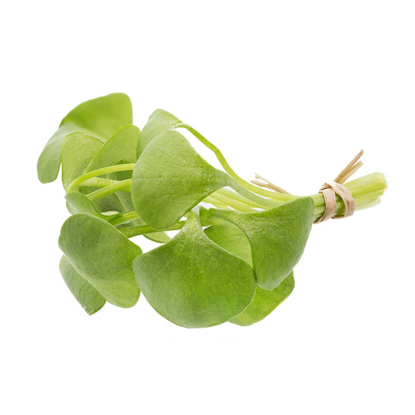 Produktfoto zu Postelein