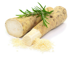 Meerrettich  Nahaufnahme