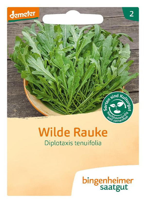 Produktfoto zu Saatgut Wilde Rauke Rucola