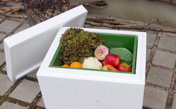 Grüne Kiste mit Obst und Gemüse in Isobox