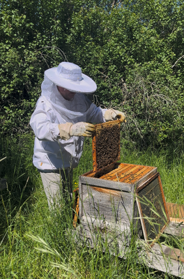 Ralf Wattenbach im Imkeranzug am Bienenstand