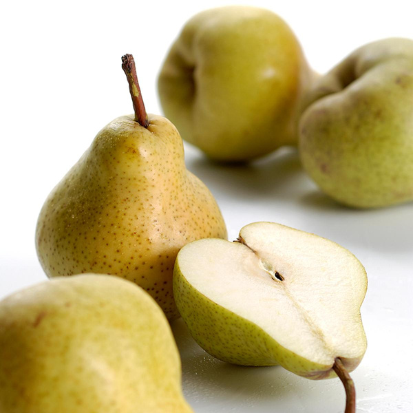 Produktfoto zu Birne Limonera