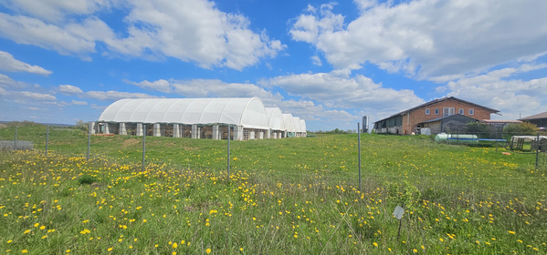 Stall am Ziegenhof Peters Glück