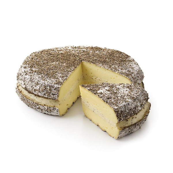 Produktfoto zu Pfefferbrie Damse