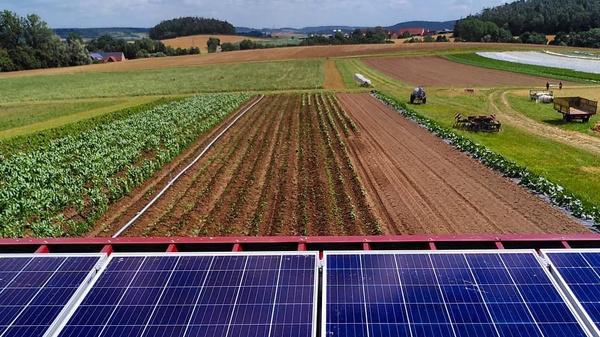 Egenhausen Felder vom Baumannshof biodynamische Landwirtschaft