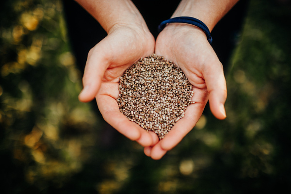 Hochwertige Bio-zertifizierte Rohstoffe