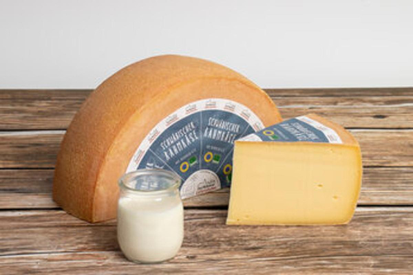 Produktfoto zu Schwäbischer Rahmtaler, 6-8 Wochen, lak.fr.