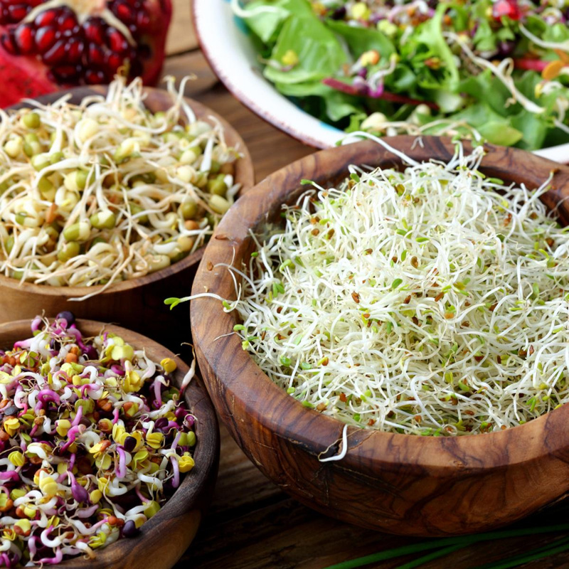 Keimsaaten & Sprossen