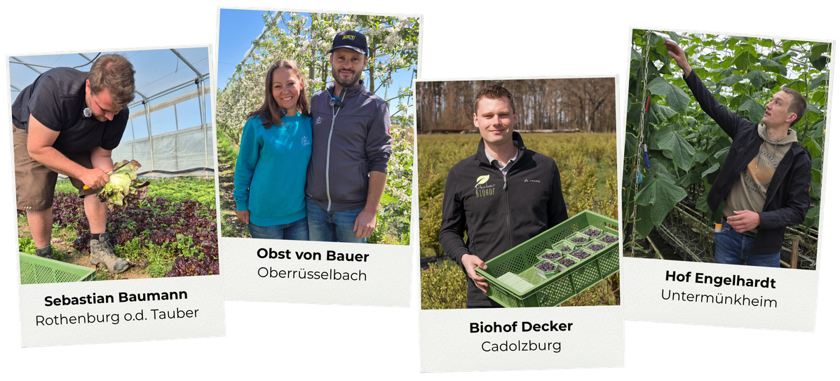 KI generiert: Vier Landwirte präsentieren ihre Arbeit auf ihren Höfen. Text: "Sebastian Baumann Rothenburg o.d. Tauber", "Obst von Bauer Oberrüsselbach", "Biohof Decker Cadolzburg", "Hof Engelhardt Untermünkheim".