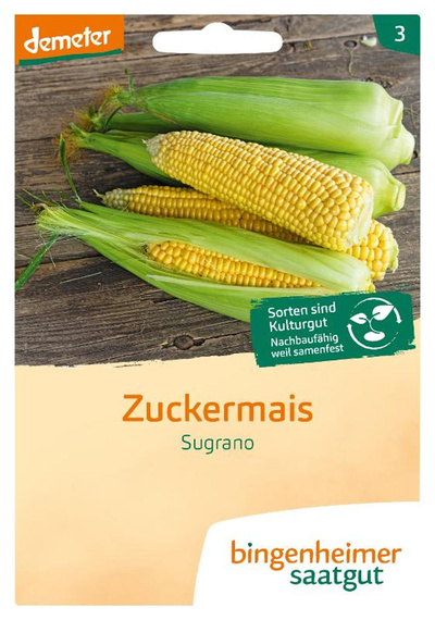 Produktfoto zu Zuckermais Sugrano