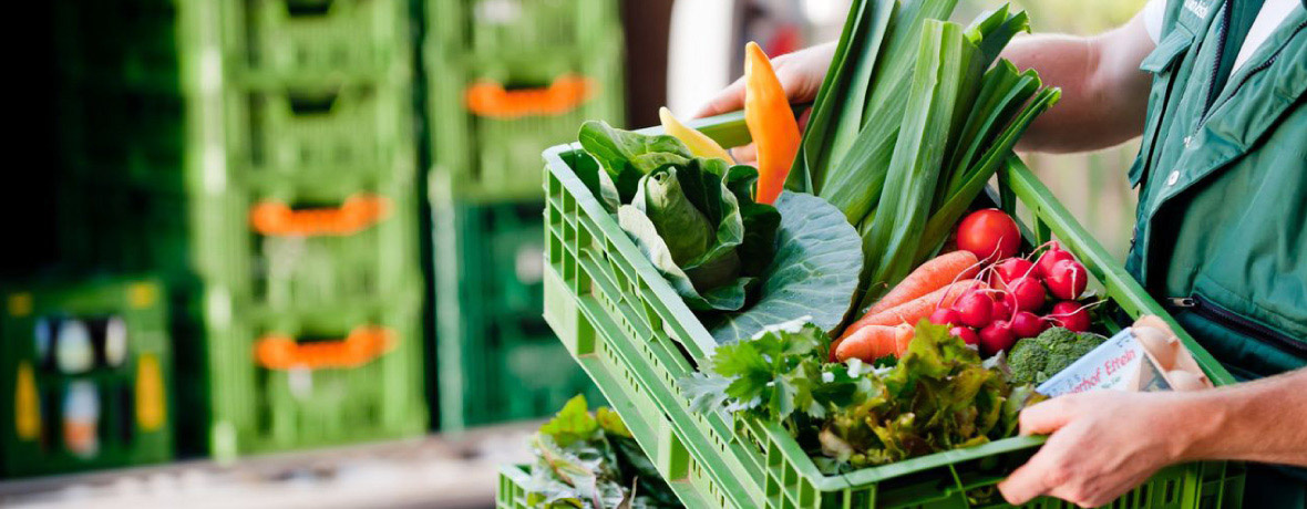 Grüne Kiste wird präsentiert Spitzkohl Karotte Lauch Sellerie Staudensellerie