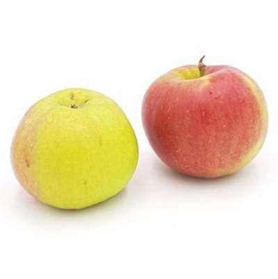 Produktfoto zu Apfel Santana