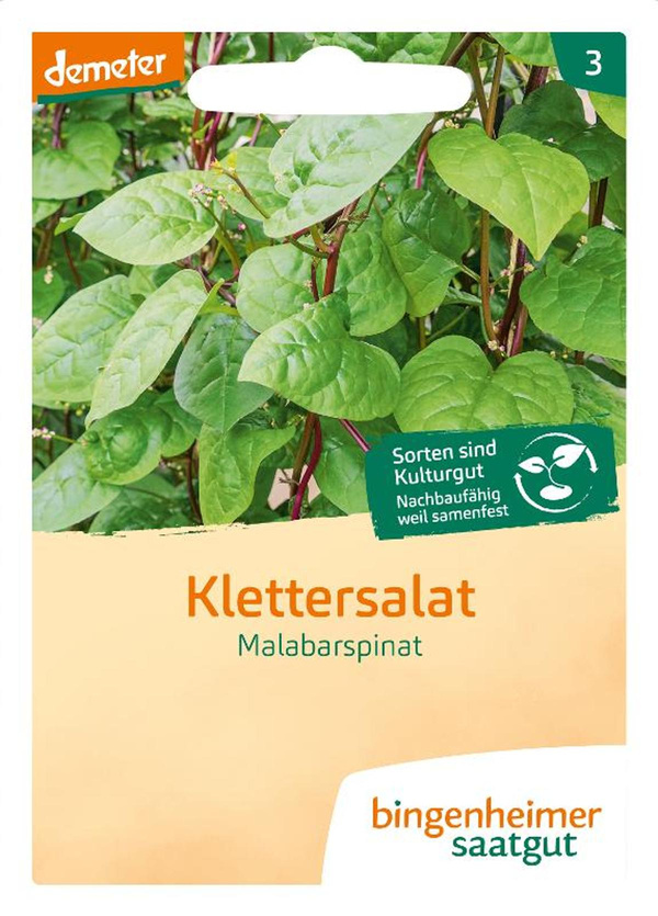 Produktfoto zu Saatgut Klettersalat
