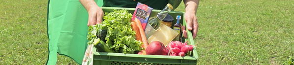 KI generiert: Eine Person hält eine Kiste mit frischem Gemüse und Lebensmitteln auf einer Wiese.