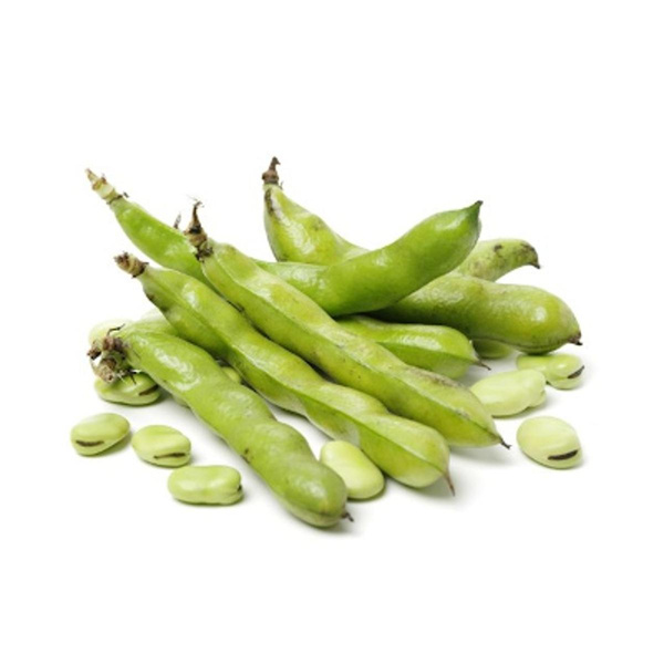 Produktfoto zu Bohnen: dicke Bohnen