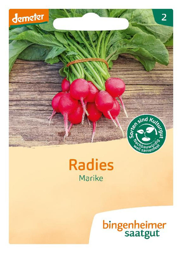 Produktfoto zu Saatgut Radieschen Marike