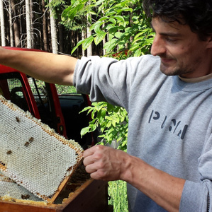 Bioland-Imkerei Lang