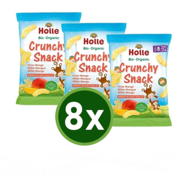 Produktfoto zu Crunchy Snack Hirse Mango 8x25