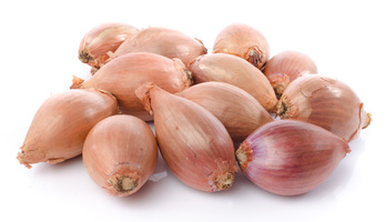 Schalotten Nahaufnahme