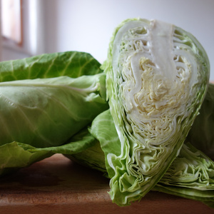 Spitzkohl