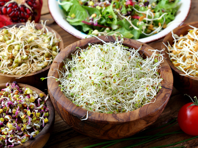 Keimsaaten & Sprossen