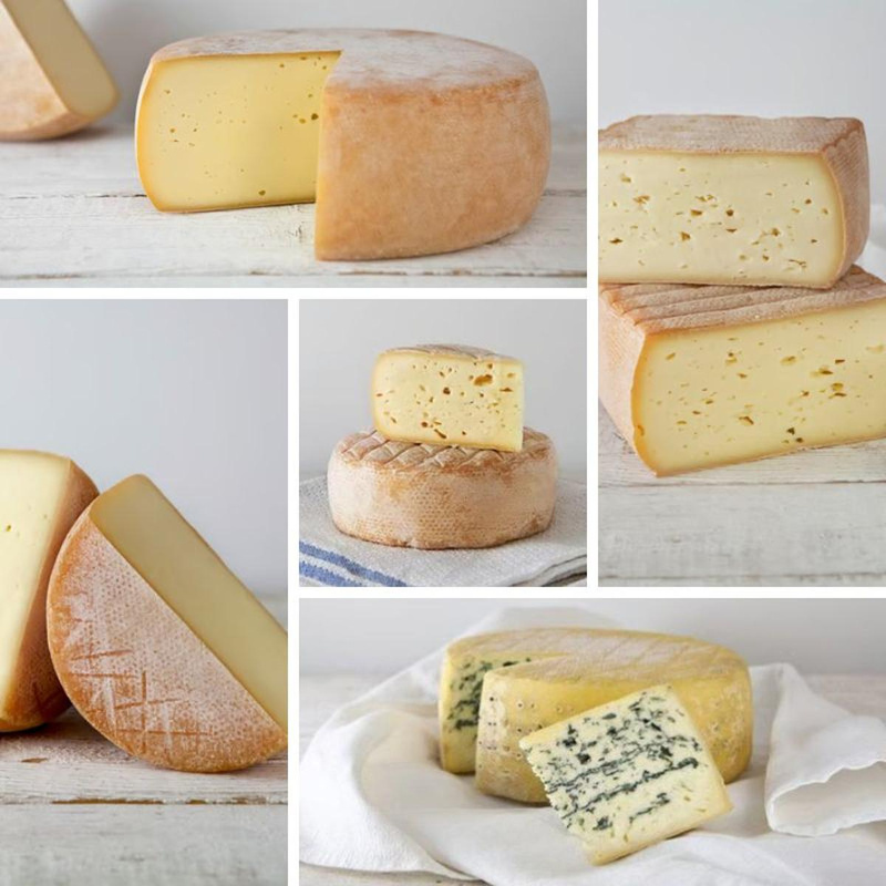 "Moin" Käse aus Nordfriesland KW 18